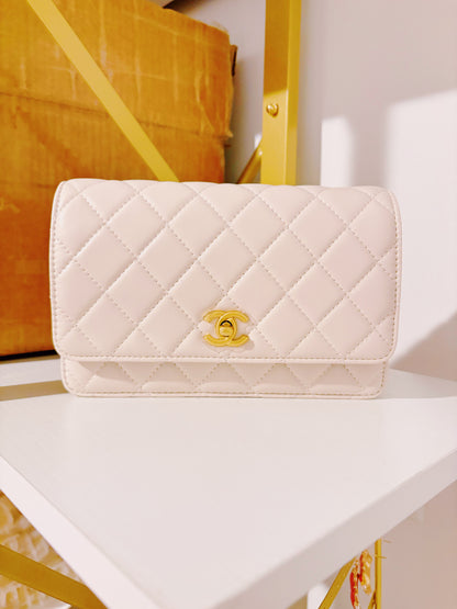 Chloe Purse(pre order )